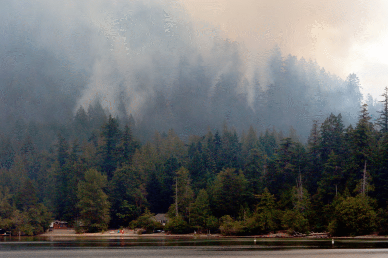 Canada wildfires: 81 million Americans under air quality alerts as ...